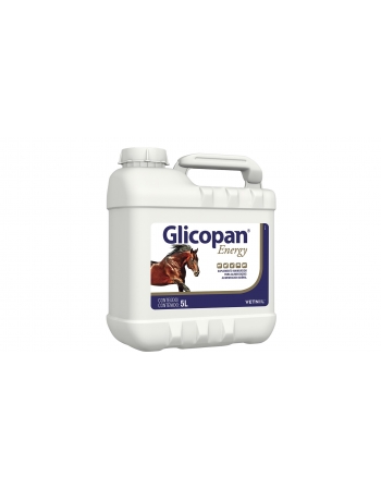 GLICOPAN ENERGY 5L (REFIL)