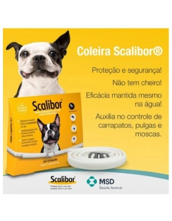 COLEIRA SCALIBOR 48 CM