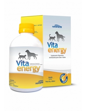 VITA ENERGY 250ML