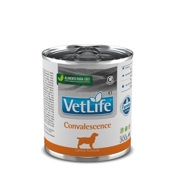 VET NAT WET CAN ADT CONVALESCENCE 0,3KG
