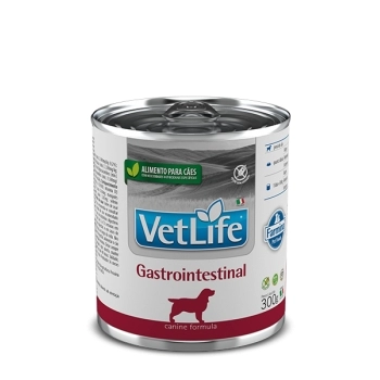 VET NAT WET CAN ADT GASTRO INTESTINAL 0,3KG