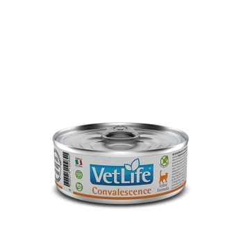 VET NAT WET FEL ADT CONVALESCENCE 0,085KG