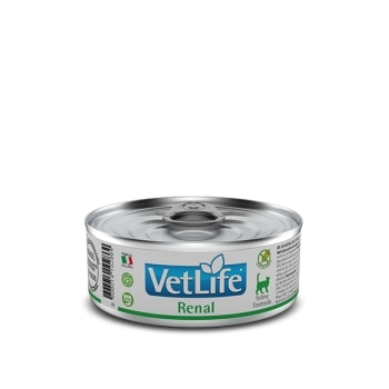 VET NAT WET FEL ADT RENAL 0,085KG