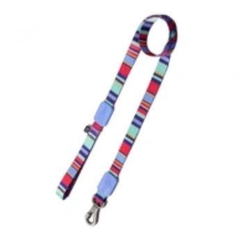 GUIA DOG RAIOS E LISTRAS - BORRACHA VIOLETA M