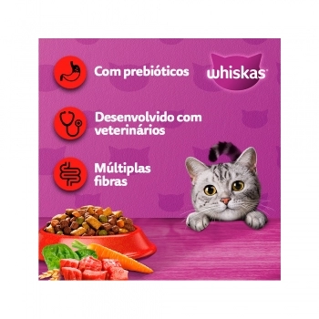 WHISKAS DRY ADULTO CARNE 900G