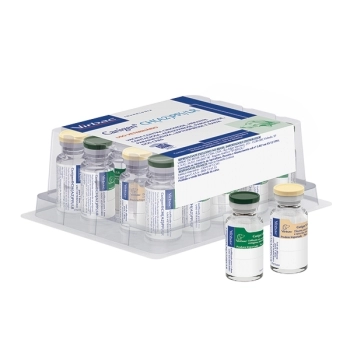 VACINA CANIGEN CH(A₂)P/L PARA CÃES - VIRBAC