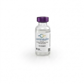 INSULINA CANINSULIN 40 U.I./ML PARA CÃES E GATOS - FRASCO AMPOLA 2,5ML - MSD